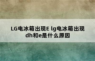 LG电冰箱出现E lg电冰箱出现dh和e是什么原因